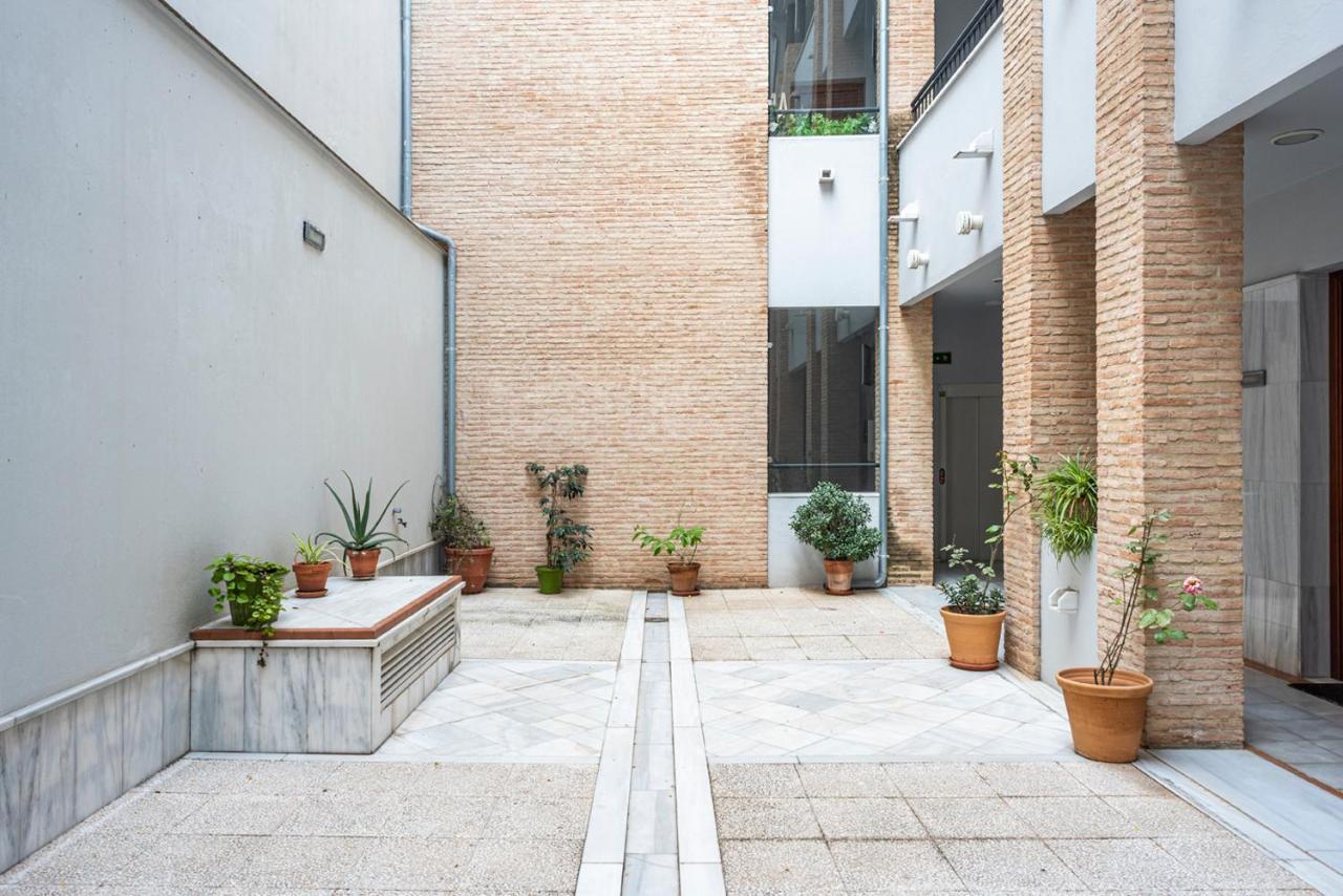 Alohamundi Velarde Ii * Seville